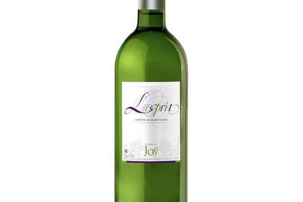 L’esprit de Joy, IGP Côtes de Gascogne