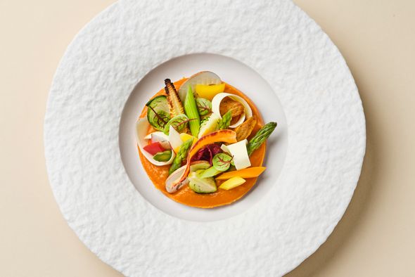 Oasis Green & Jewels (Vege)