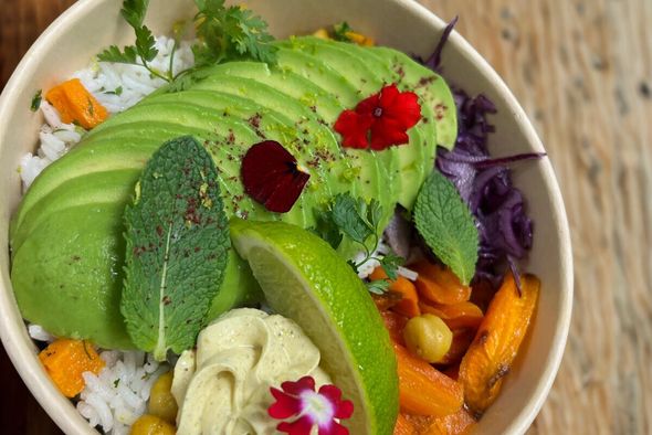 Lunchbox Verte (Veggie)