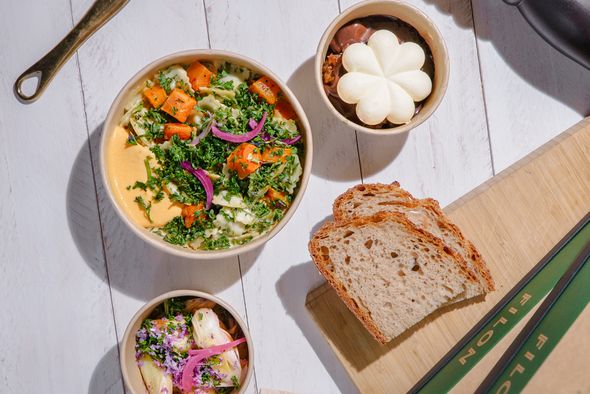 Box du jardin recyclable