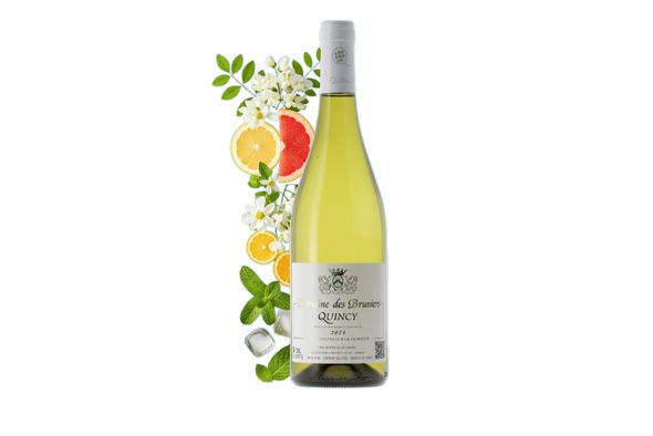 Vin Blanc - Quincy Domaine des Bruniers